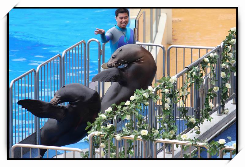 海洋公園(Ocean Park)44 海洋公園(Ocean Park)44