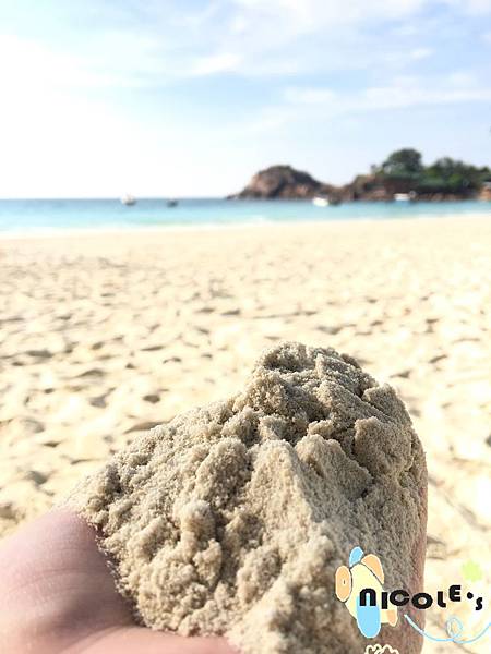 IMG_3974.JPG IMG_3974.JPG