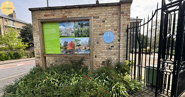 【劍橋大學植物園】Cambridge University 