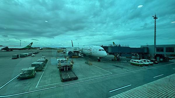 【星空聯盟/寰宇一家/天合聯盟】2025各大航空哩程 | 賺