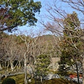 嵯峨野化野念佛寺