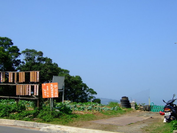 廬山真面目