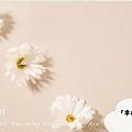 Blue Green Watercolor Flower Creative Portfolio Presentation.jpg