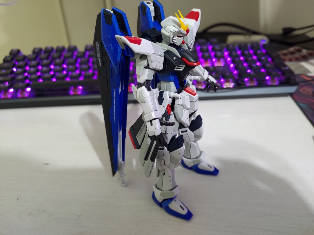 RG Freedom Ver.GCP 自由鋼彈降臨上海