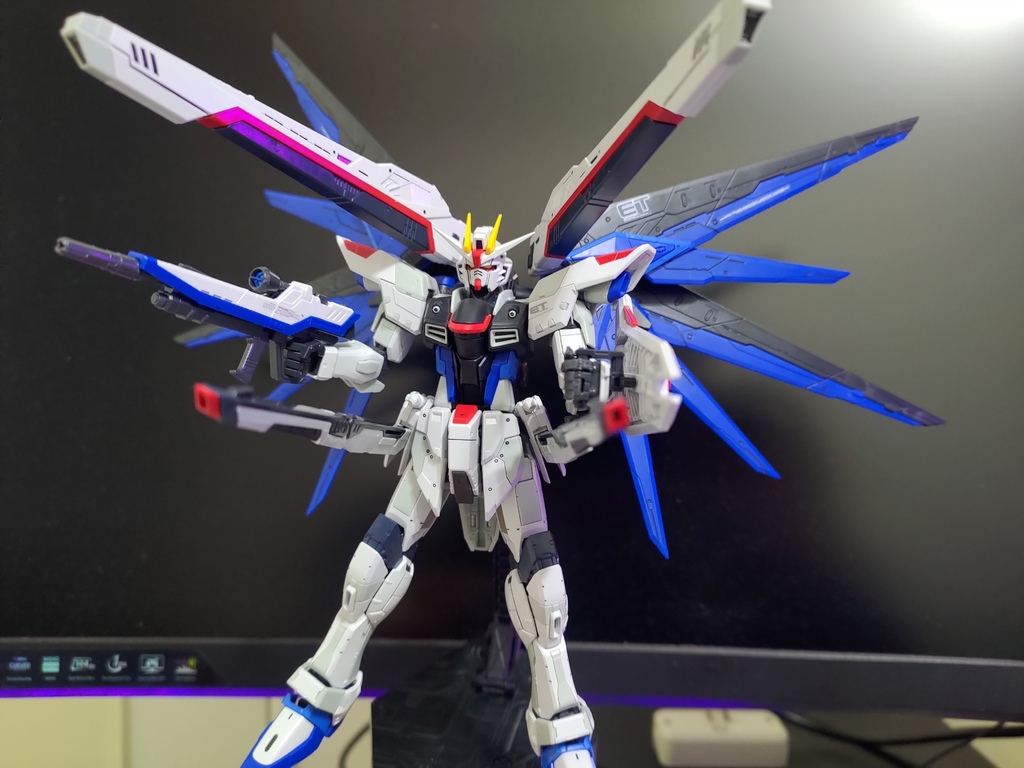 RG Freedom Ver.GCP 自由鋼彈降臨上海