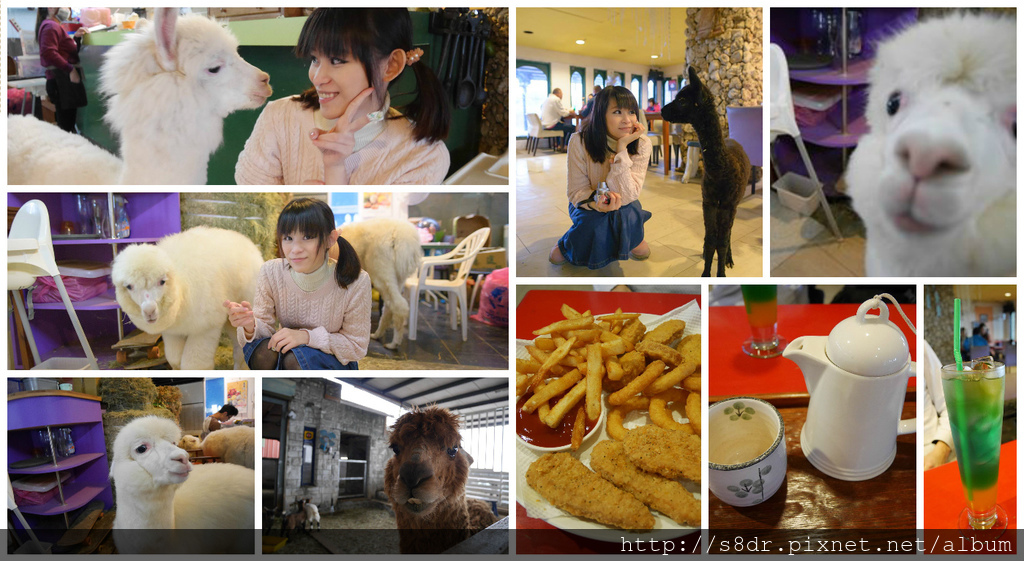 FotorCreated.jpg FotorCreated.jpg