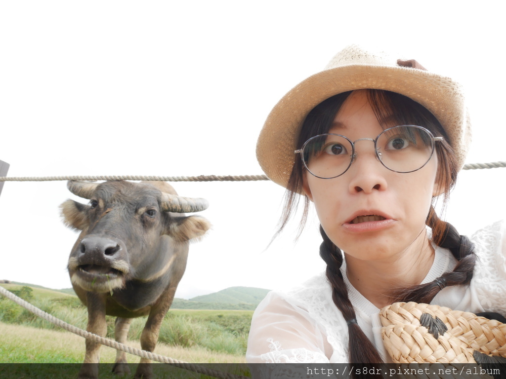 P1030032.JPG P1030032.JPG