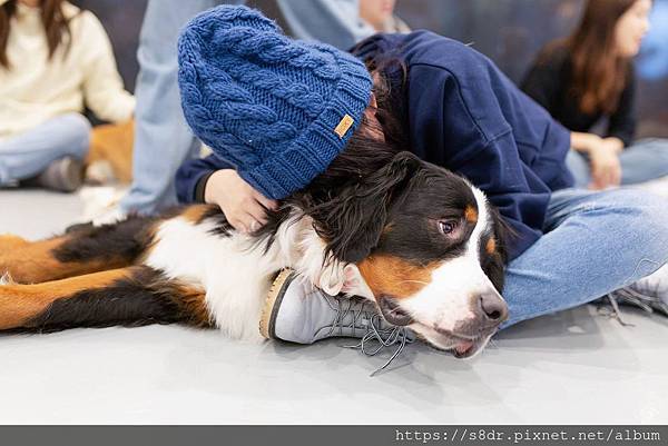 54255732_2059200810838065_6882554048092831744_o.jpg 54255732_2059200810838065_6882554048092831744_o.jpg