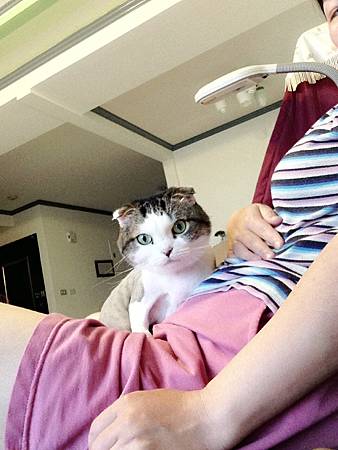 IMG_7954 IMG_7954