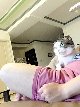 IMG_7957 IMG_7957