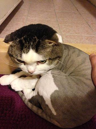IMG_7998 IMG_7998