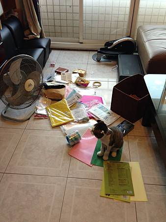 IMG_8153 IMG_8153