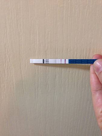 IMG_4887 IMG_4887