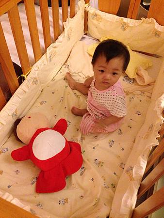 IMG_9732 IMG_9732