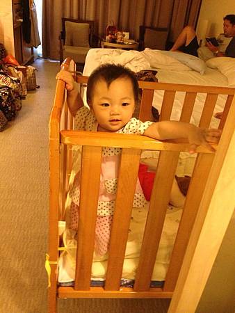 IMG_9724 IMG_9724