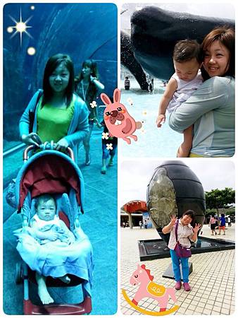 IMG_9542 IMG_9542