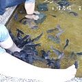 魚咬腳_170525_0081.jpg