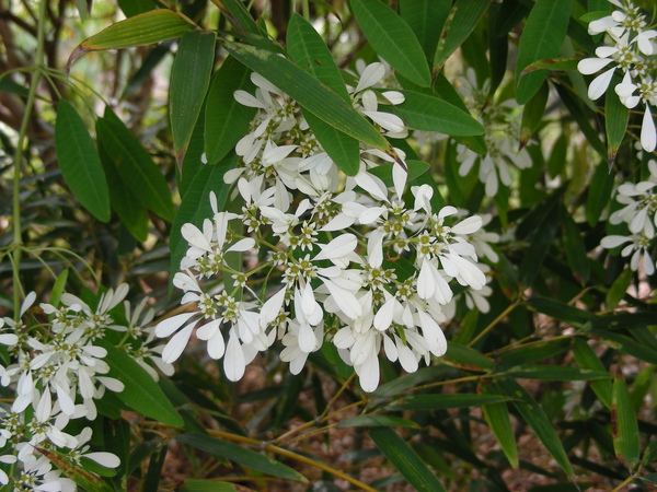 雲莊 060.jpg