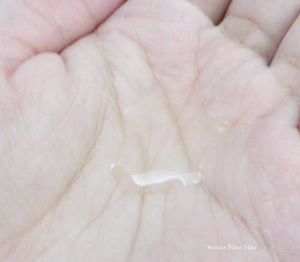 DSC01164.JPG DSC01164.JPG