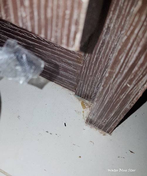 20180827_141442.jpg 試用