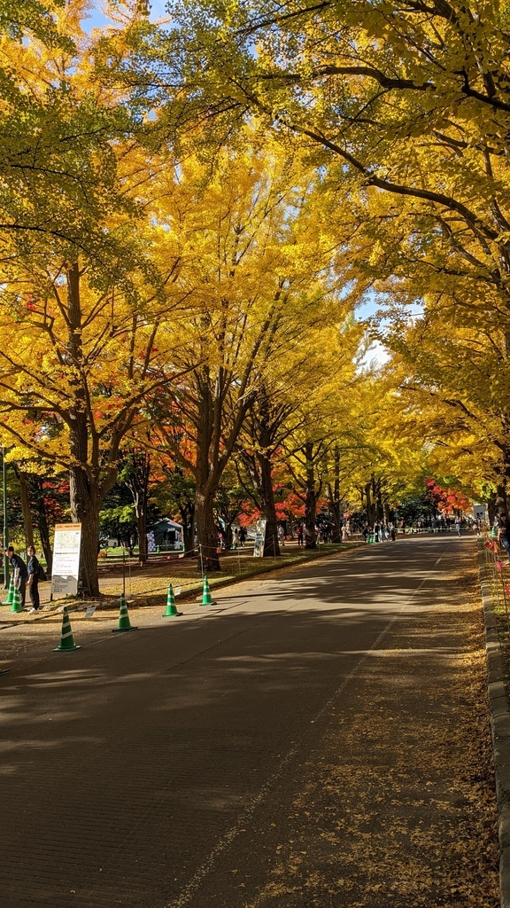 2023年10月札幌小樽之旅