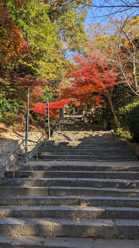 2023年12月福岡四日旅