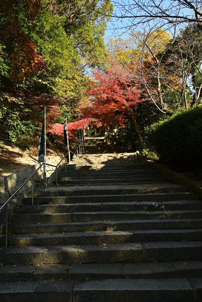 2023年12月福岡四日旅