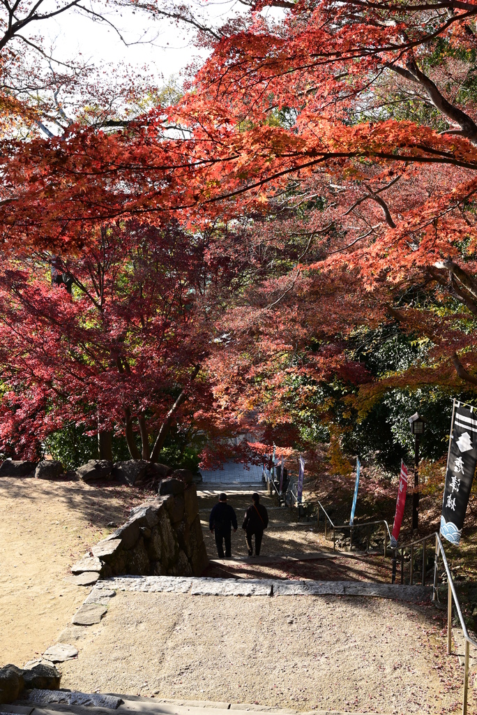 2023年12月福岡四日旅