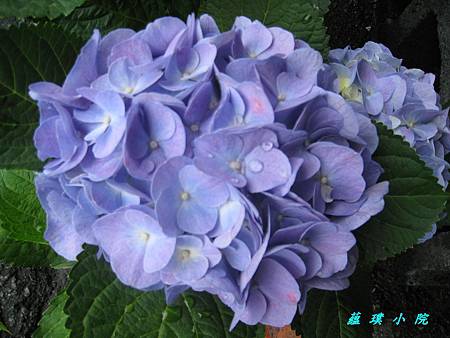 IMG_3561.jpg IMG_3561.jpg