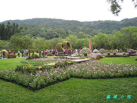 IMG_5409.jpg IMG_5409.jpg