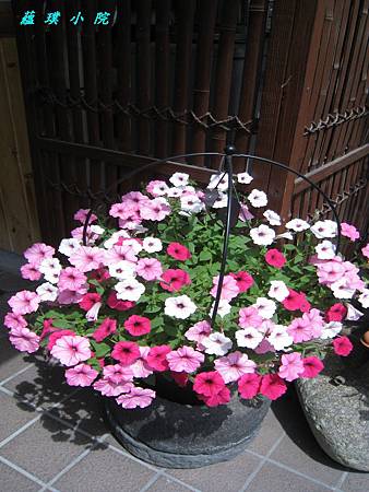 IMG_8213.jpg IMG_8213.jpg