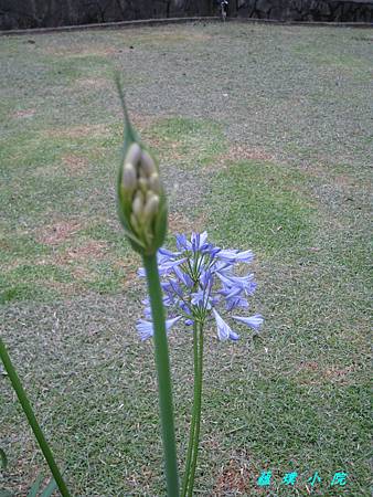IMG_7937.jpg IMG_7937.jpg