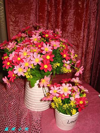 IMG_9491.JPG IMG_9491.JPG