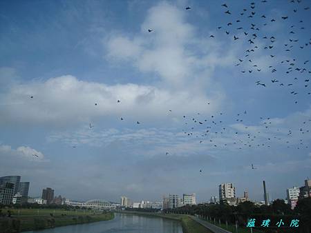 IMG_1939.JPG IMG_1939.JPG