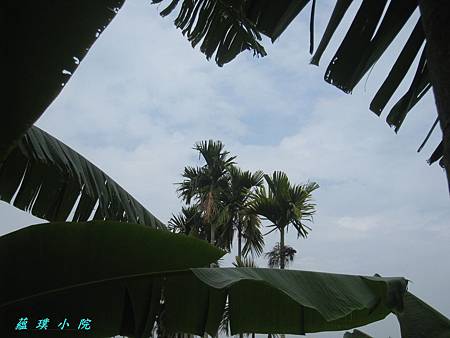 IMG_3027.JPG IMG_3027.JPG