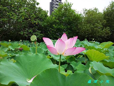 20130625_114702.jpg 20130625_114702.jpg
