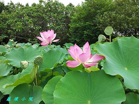 20130625_095810.jpg 20130625_095810.jpg