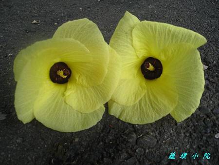IMG_6366.JPG IMG_6366.JPG