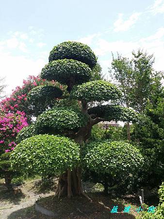 20160530_113529.jpg 20160530_113529.jpg