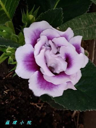 20160526_140833.jpg 20160526_140833.jpg
