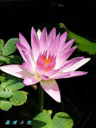 20160817_122129.jpg 20160817_122129.jpg