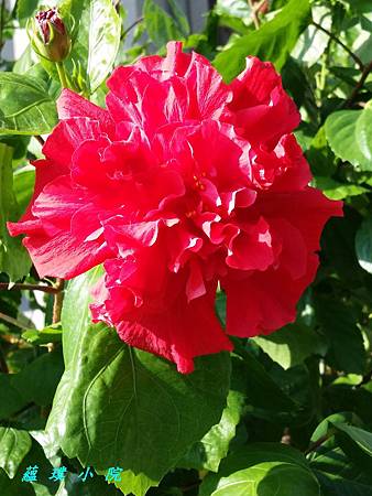 20161005_150041.jpg 20161005_150041.jpg