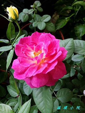 20161008_134847.jpg 20161008_134847.jpg