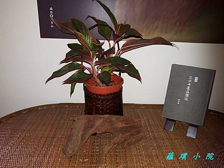 20170316_110648.jpg 20170316_110648.jpg