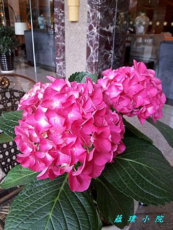 20170411_174621.jpg 20170411_174621.jpg