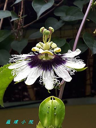 20170509_101236.jpg 20170509_101236.jpg