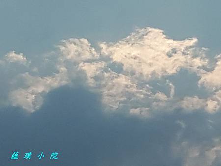 20170803_164908.jpg 20170803_164908.jpg