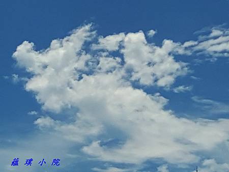20170722_104953.jpg 20170722_104953.jpg