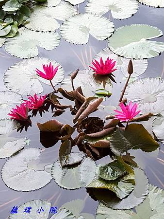 20170901_084919.jpg 20170901_084919.jpg