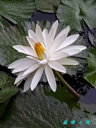 20170901_084531.jpg 20170901_084531.jpg